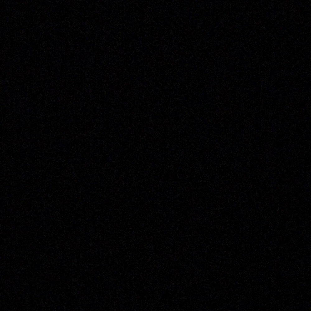 Meet your Posher, Lily